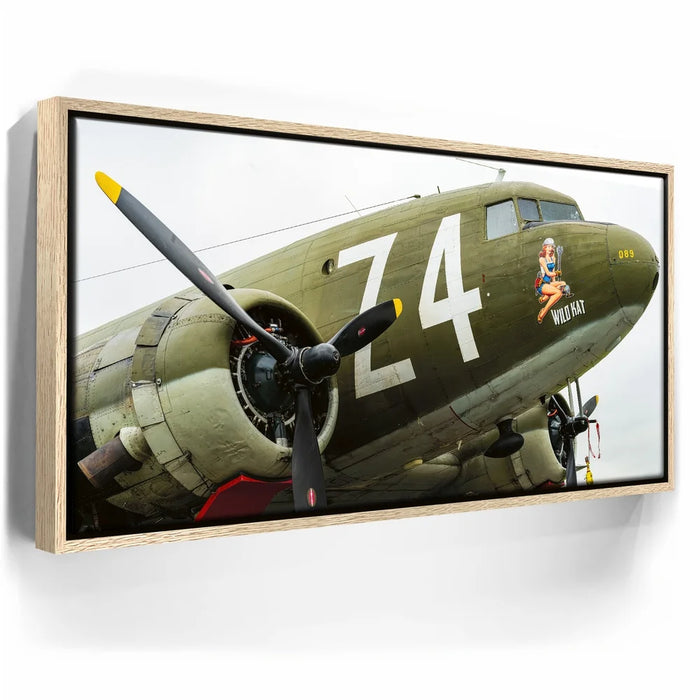 Featured image 9 for Wild Kat C-49