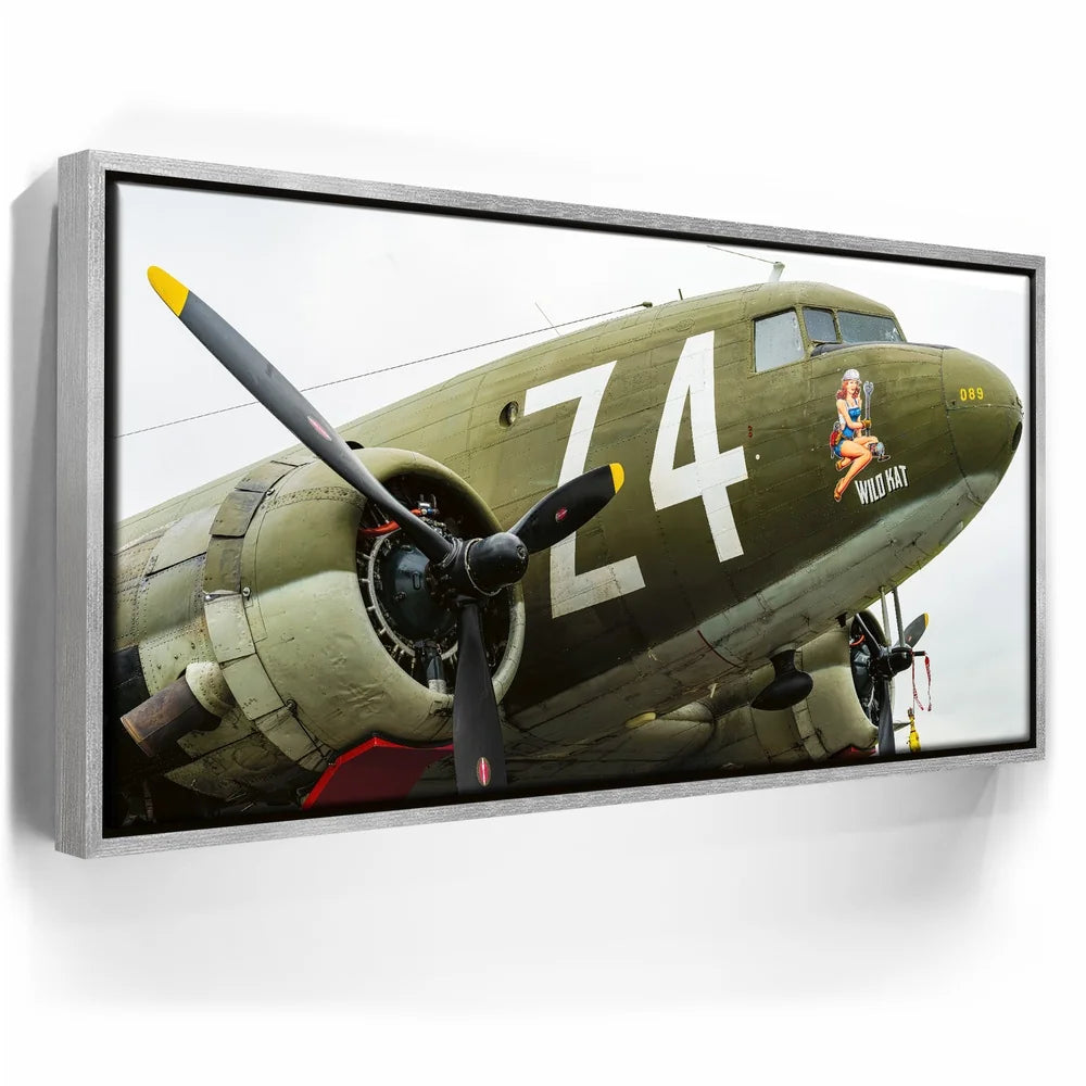 Featured image 8 for Wild Kat C-49