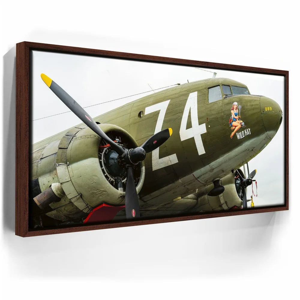 Featured image 10 for Wild Kat C-49