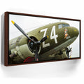 Featured image 10 for Wild Kat C-49