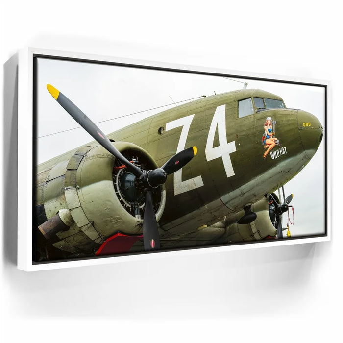 Featured image 6 for Wild Kat C-49