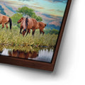 Thumbnail image 15 for Wild Horses in high pasture