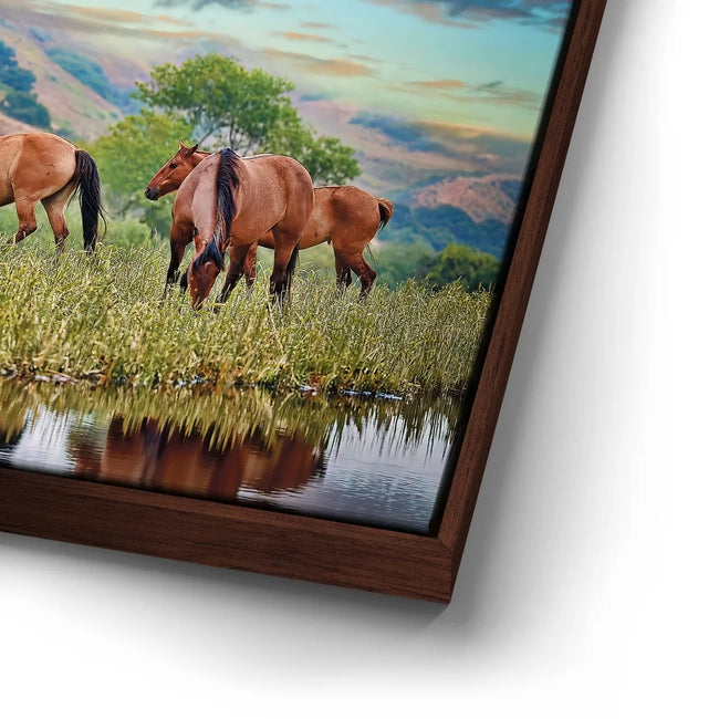 Featured image 15 for Wild Horses in high pasture