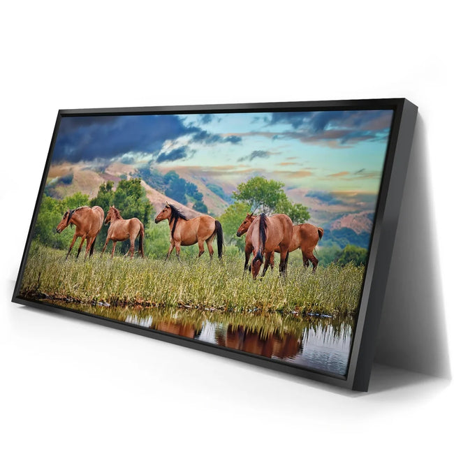 Featured image 2 for Wild Horses in high pasture