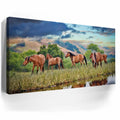 Thumbnail image 3 for Wild Horses in high pasture
