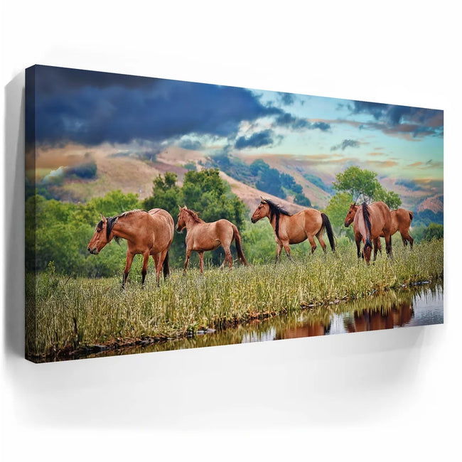 Featured image 3 for Wild Horses in high pasture