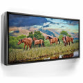 Featured image 6 for Wild Horses in high pasture