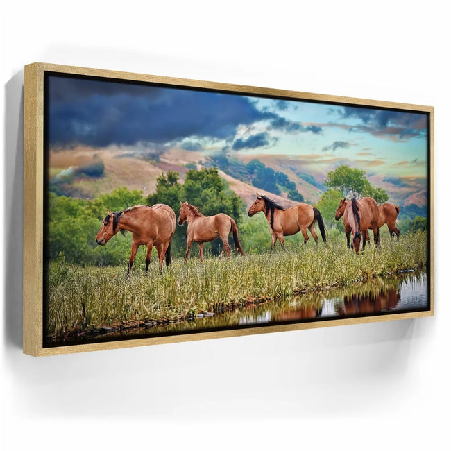 Featured image 8 for Wild Horses in high pasture
