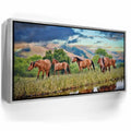 Featured image 9 for Wild Horses in high pasture