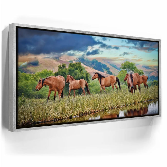 Featured image 9 for Wild Horses in high pasture