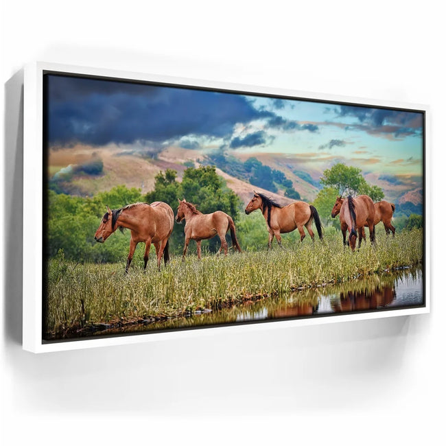 Featured image 7 for Wild Horses in high pasture