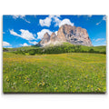 Featured image 1 for Wildflowers of Sella Pass