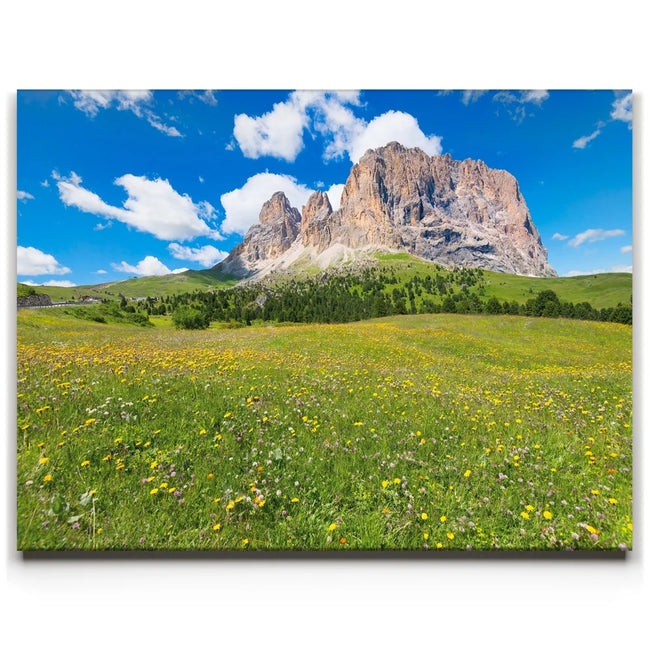 Featured image 1 for Wildflowers of Sella Pass