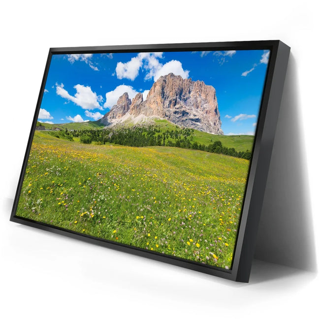 Featured image 2 for Wildflowers of Sella Pass
