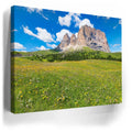 Thumbnail image 3 for Wildflowers of Sella Pass