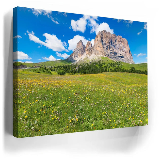 Featured image 3 for Wildflowers of Sella Pass