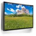 Featured image 6 for Wildflowers of Sella Pass
