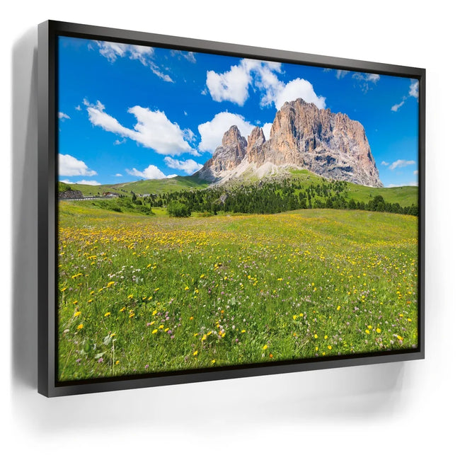 Featured image 6 for Wildflowers of Sella Pass