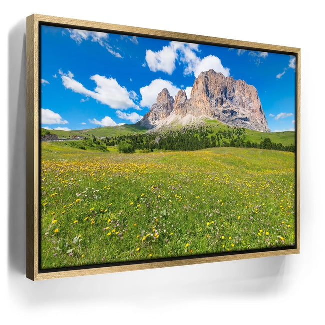 Featured image 8 for Wildflowers of Sella Pass