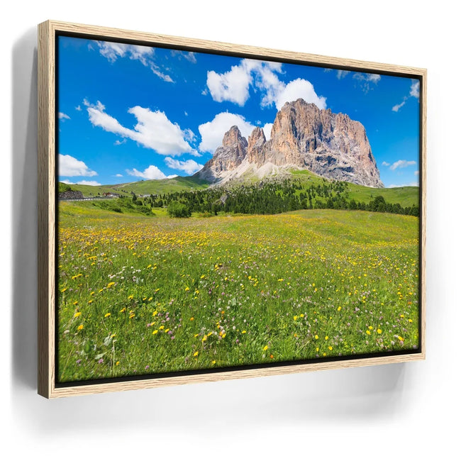Featured image 10 for Wildflowers of Sella Pass