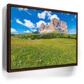 Featured image 11 for Wildflowers of Sella Pass