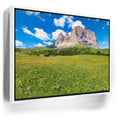 Featured image 7 for Wildflowers of Sella Pass