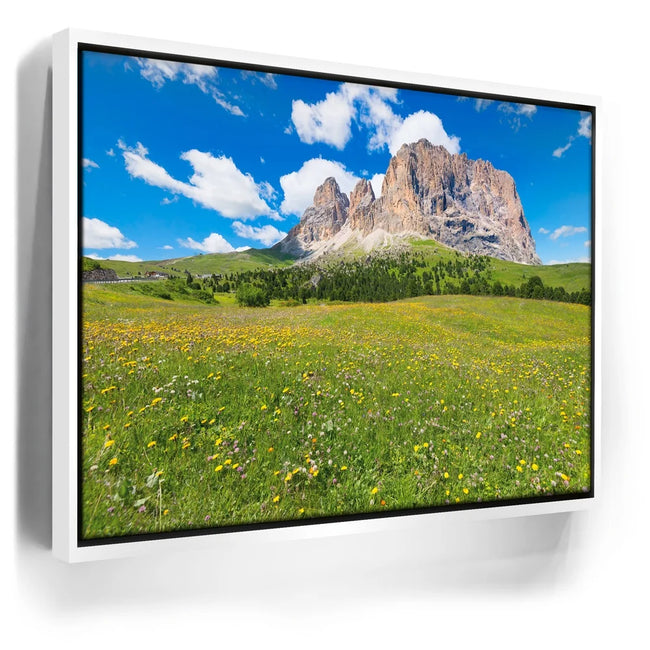 Featured image 7 for Wildflowers of Sella Pass