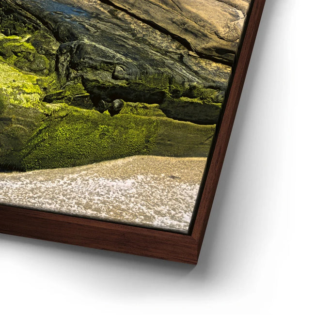 Featured image 15 for Windansea Coastline