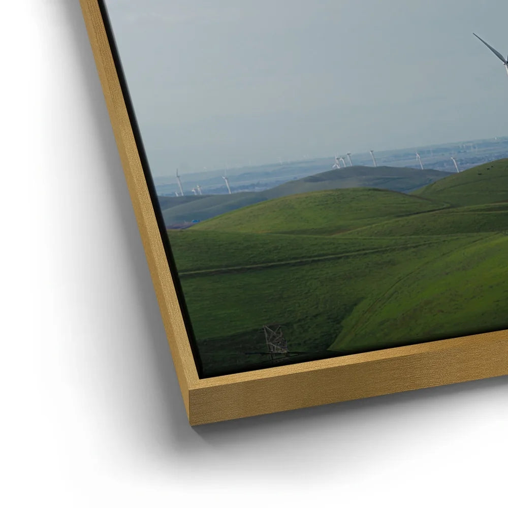 Featured image 12 for Windfarm Vista - Livermore, CA