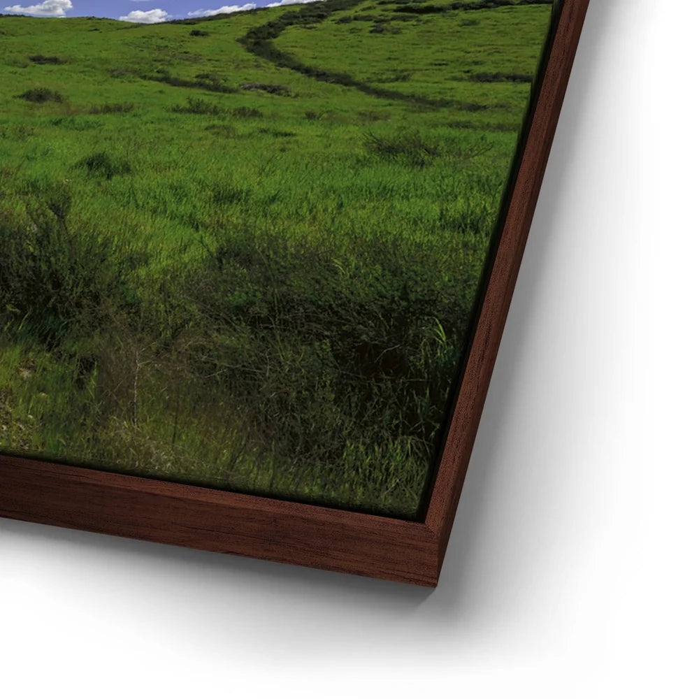 Featured image 14 for Winding Spring Trail