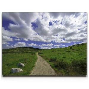 Winding Spring Trail