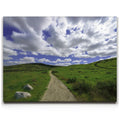 Featured image 1 for Winding Spring Trail