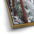 Thumbnail image 12 for Winter Escape