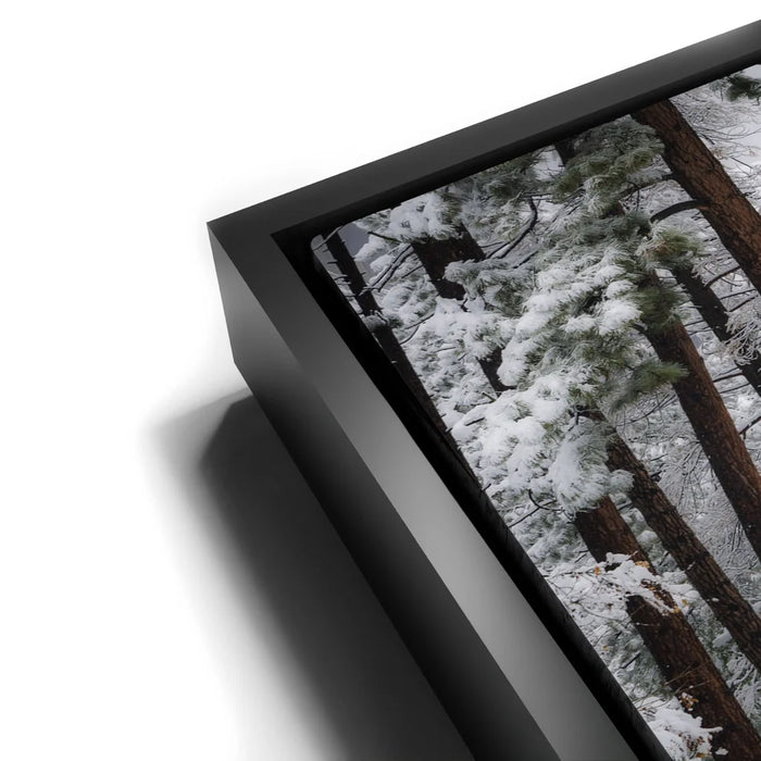 Featured image 11 for Winter Escape