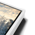 Thumbnail image 13 for Winter Wonderland - Yosemite National Park, California