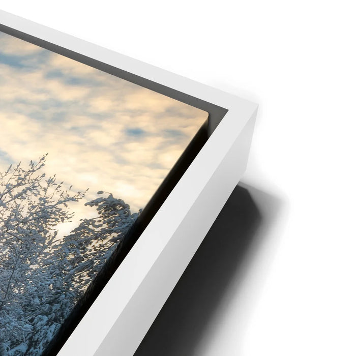 Featured image 13 for Winter Wonderland - Yosemite National Park, California