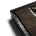 Thumbnail image 14 for Wolf of Wallstreet