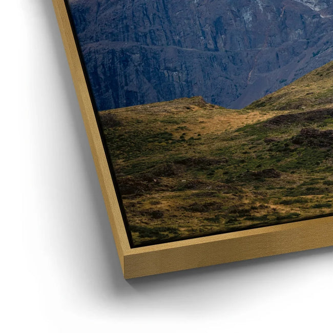 Featured image 13 for World Untamed