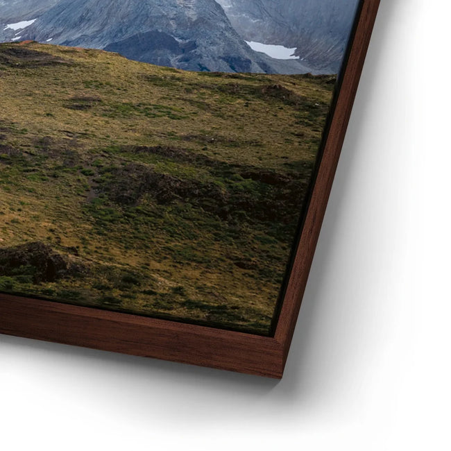 Featured image 15 for World Untamed