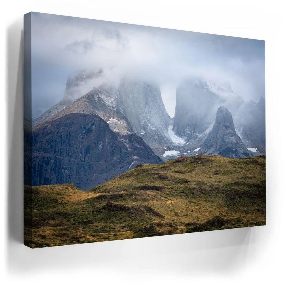 Featured image 3 for World Untamed