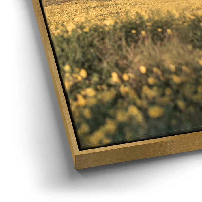 Featured image 12 for Yellow Flowers Field, Maui