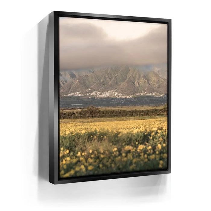 Featured image 5 for Yellow Flowers Field, Maui