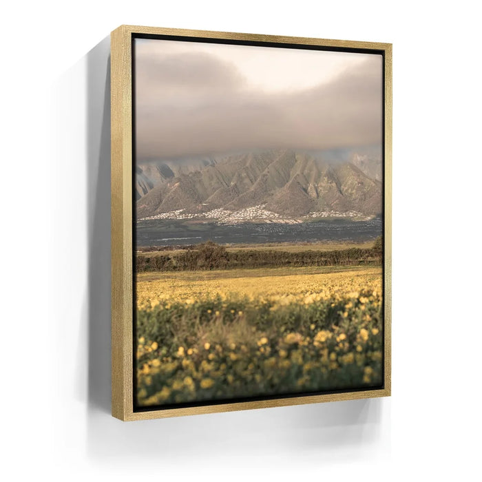 Featured image 7 for Yellow Flowers Field, Maui