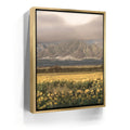 Featured image 7 for Yellow Flowers Field, Maui