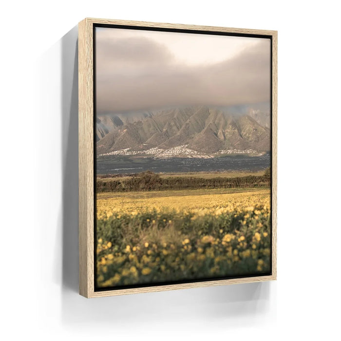 Featured image 9 for Yellow Flowers Field, Maui