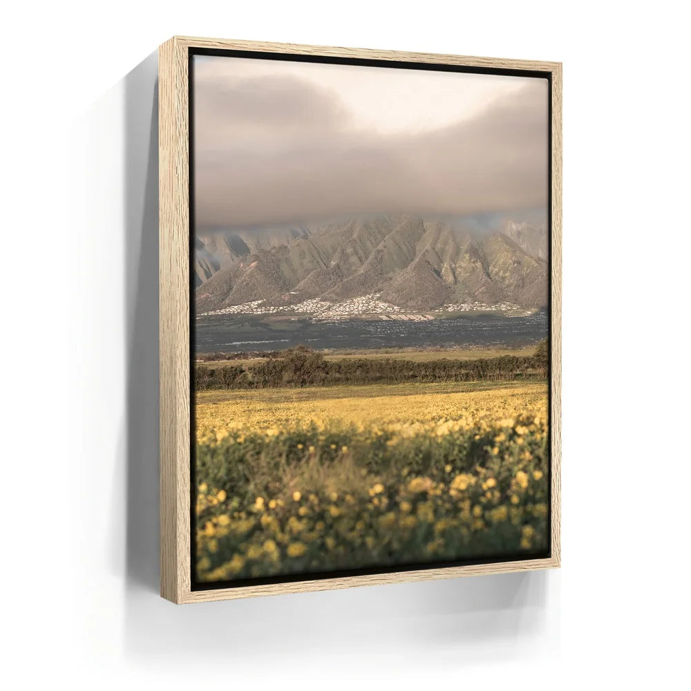 Featured image 9 for Yellow Flowers Field, Maui