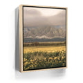 Featured image 9 for Yellow Flowers Field, Maui