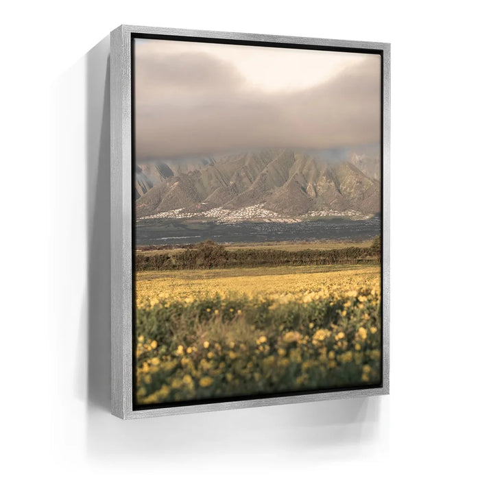 Featured image 8 for Yellow Flowers Field, Maui