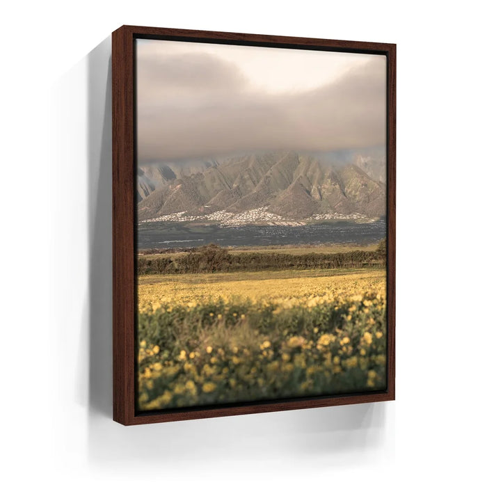 Featured image 10 for Yellow Flowers Field, Maui