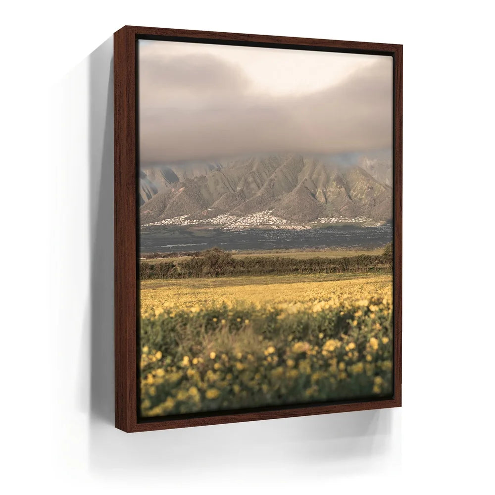 Featured image 10 for Yellow Flowers Field, Maui